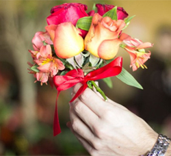 simpatia com flores simpatia com flores