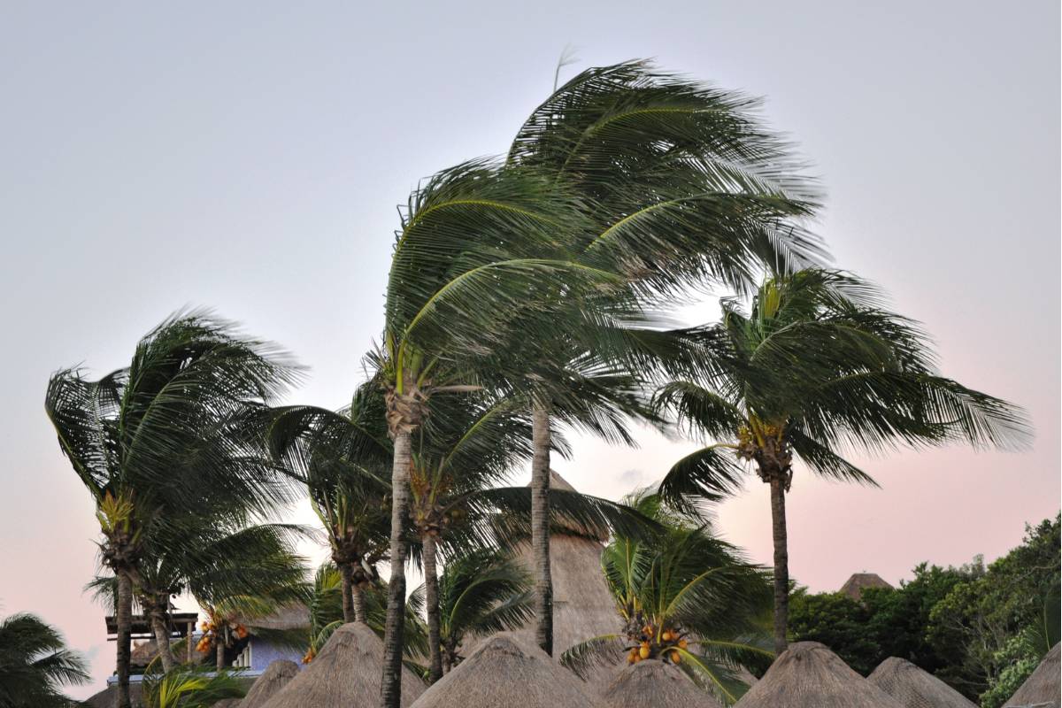 Sonhar com vento forte – O que quer dizer? Todos os significados