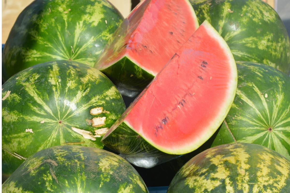 Sonhar com melancia – O que significa? É gravidez? Interpretações