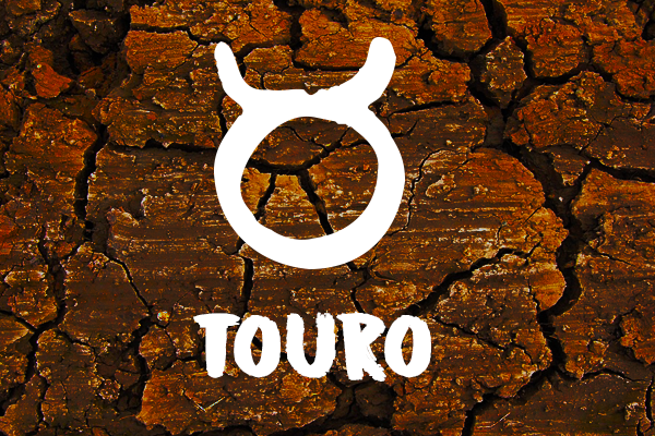 Signo de touro