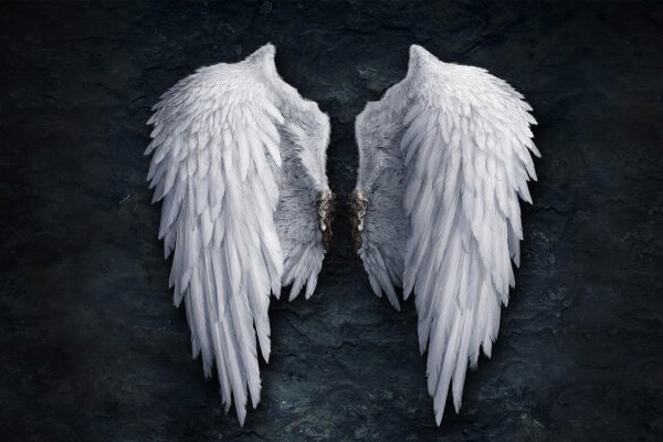 Sonhar com asas: o que isso quer dizer? Sonhar com asas: o que isso quer dizer?