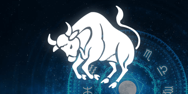 frases do signo de touro