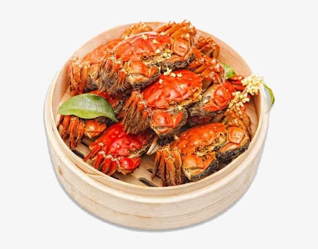 Sonhar com caranguejo: o que significa?