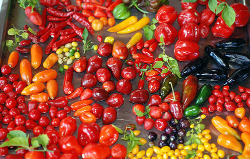 Sonhar com pimenta: quais são os significados? Sonhar com pimenta: quais são os significados?