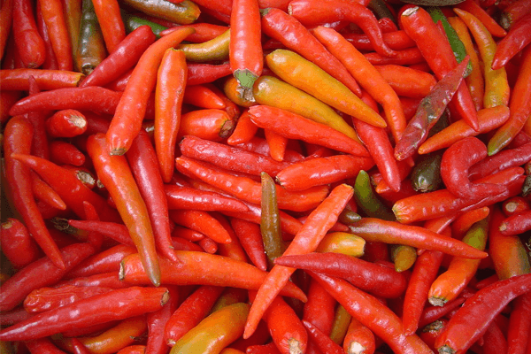 Sonhar com pimenta: quais são os significados? Sonhar com pimenta: quais são os significados?