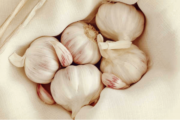 Sonhar com alho: quais são os significados?