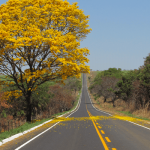 Sonhar com estrada: quais são os significados?