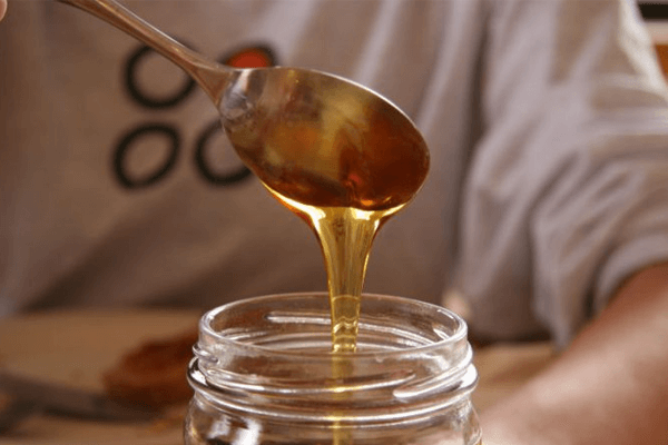 Sonhar com mel: o que isso significa? Sonhar com mel: o que isso significa?