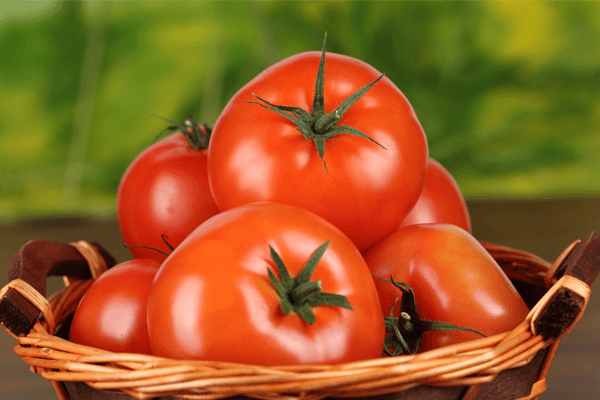 Sonhar com Tomate: o que isso quer dizer? Veja aqui! Sonhar com Tomate: o que isso quer dizer? Veja aqui!