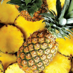 Sonhar com abacaxi: 10 sonhos com ABACAXI explicados e comentados