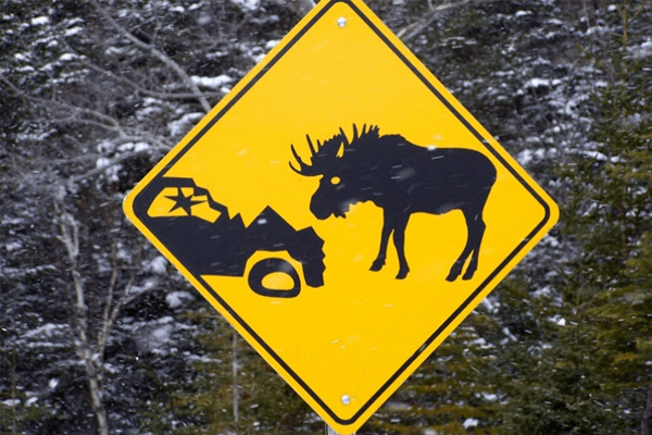 Sonhar com atropelamento: o que isso significa? Veja aqui! Sonhar com atropelamento: o que isso significa? Veja aqui!