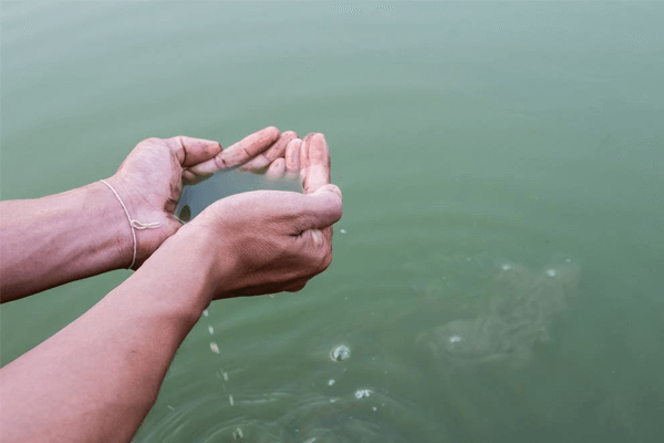 Sonhar Com Água Suja: Qual O Significado? Conheça as principais interpretações