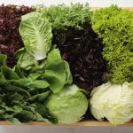 Sonhar com alface – o que significa? Confira os resultados, aqui!