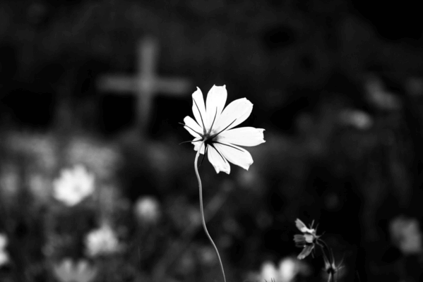 Sonhar com mãe que já morreu