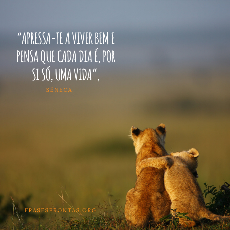 Frase do pensador Sêneca sobre a vida 
