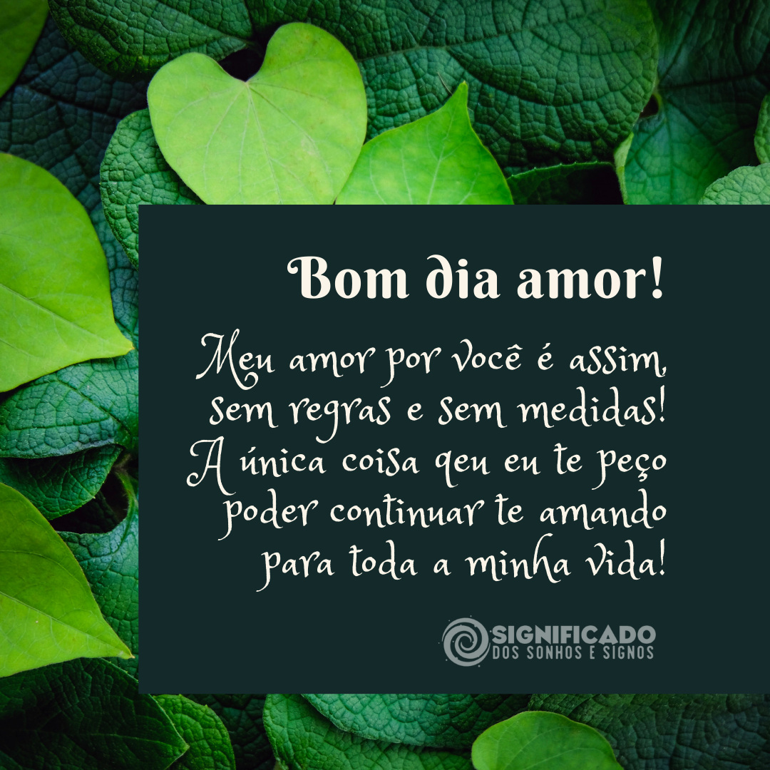 Bom dia amor te amor Bom dia amor te amor