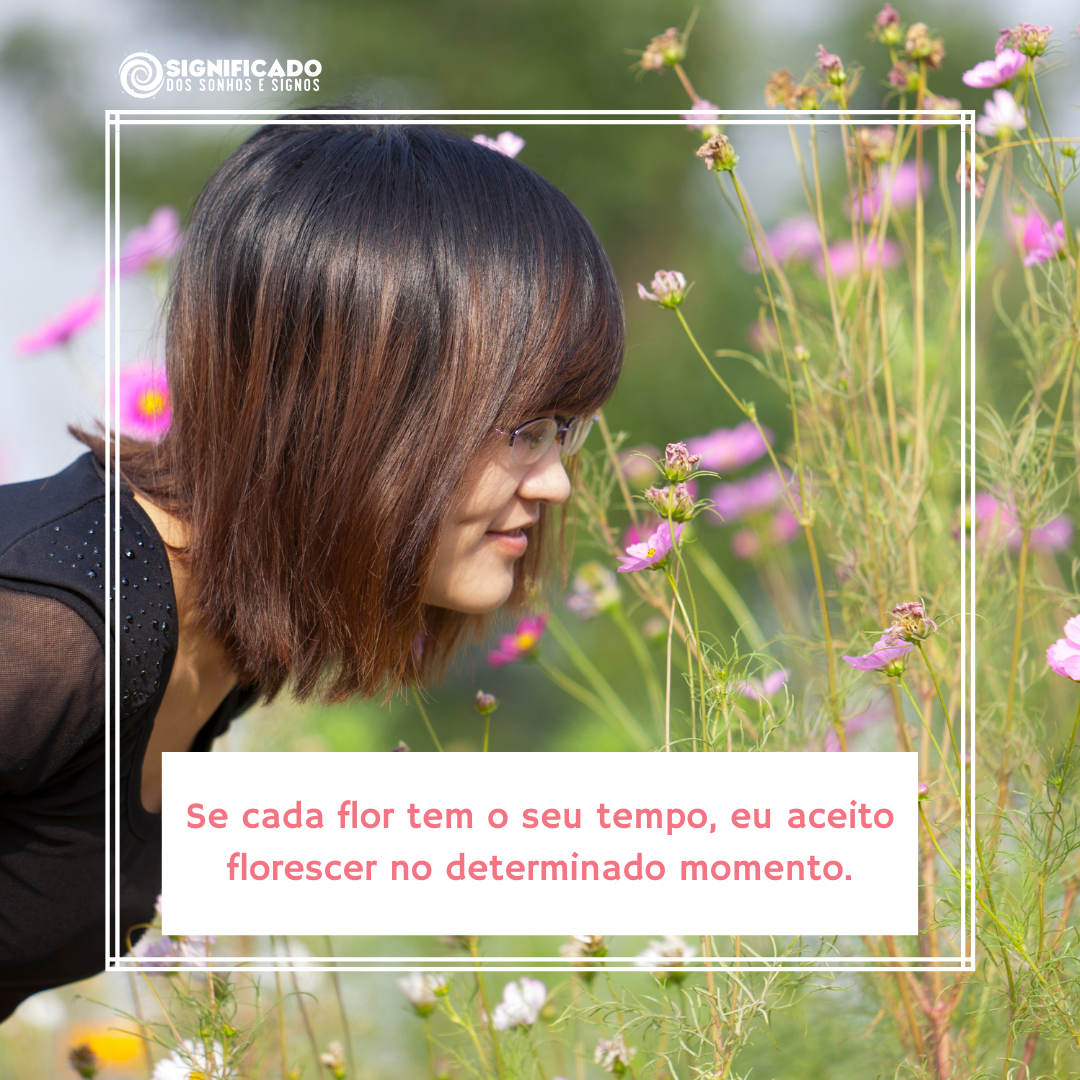 Frase para foto Instagram Frase para foto Instagram