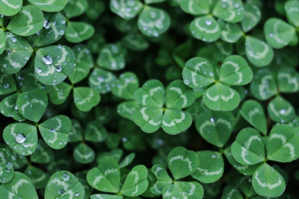 (Imagem: Yan Ming/ Unsplash)