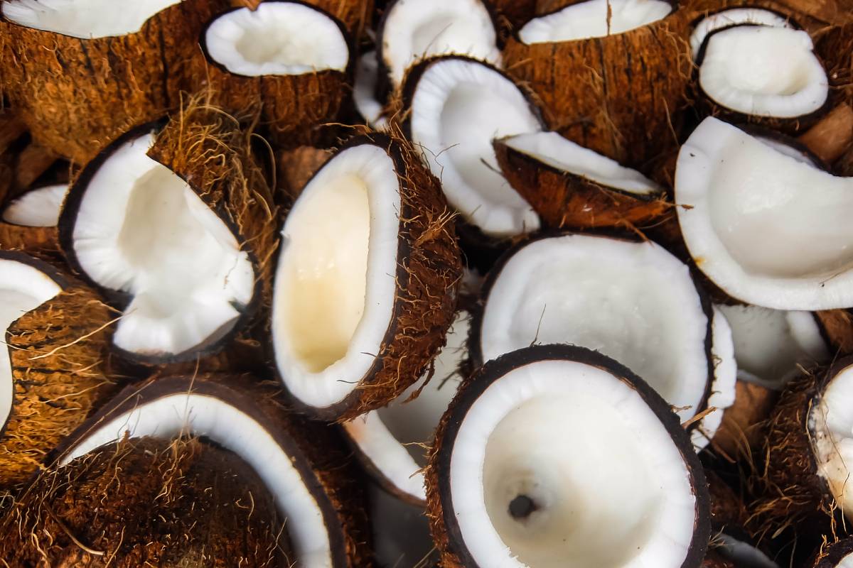 Sonhar com Coco (Fruta). O que pode significar? Saiba tudo aqui.